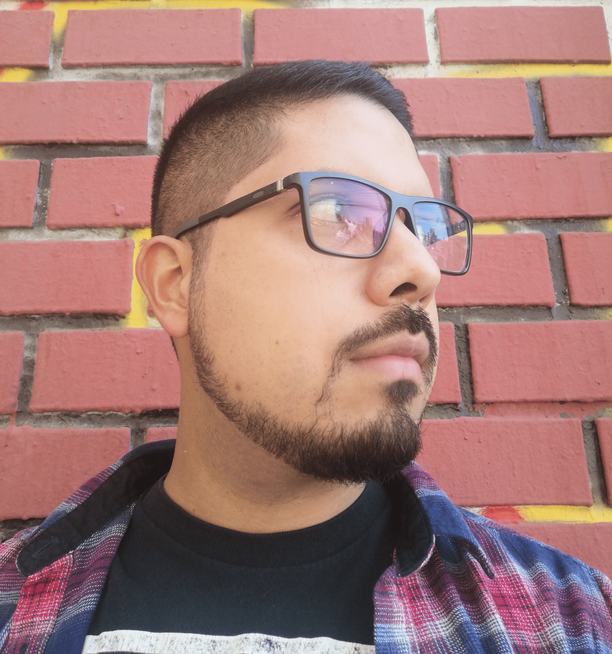 Profile photo looking to the right, using glasses and a red lumberjack shirt, posing in front of a brick wall